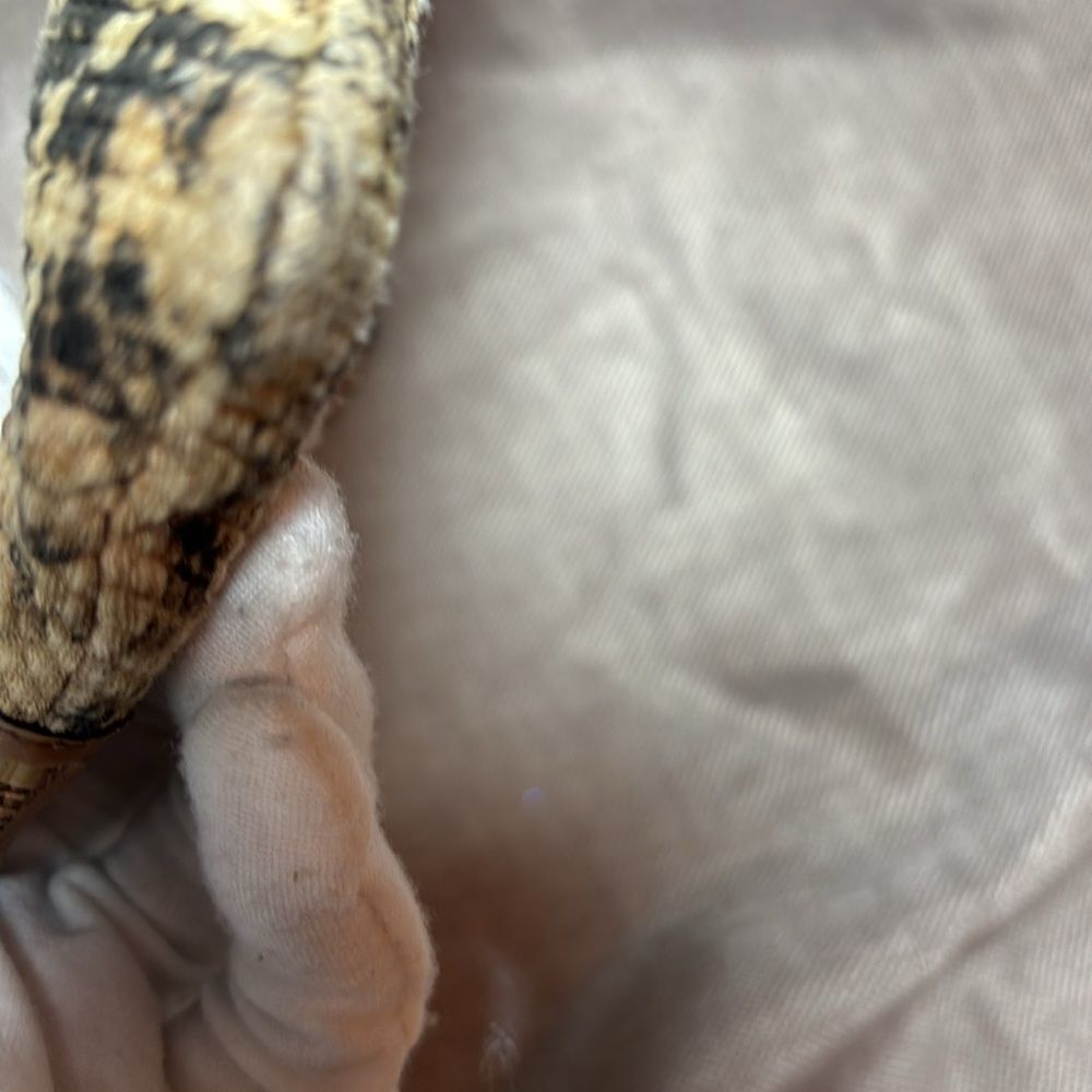 COACH Madison Python Print Wristlet - Picture 7 of 9